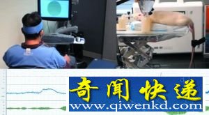 真正神交:脑电波直接沟通 同步“传译”脑电波