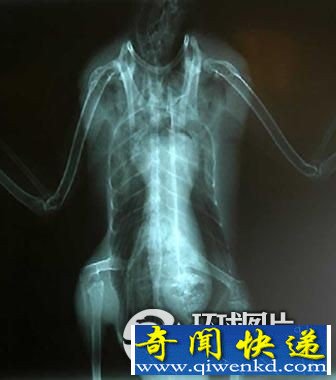 【探秘】盘点全球著名UFO事件大集合!