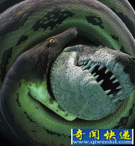 哥伦比亚北部煤矿岩层出土一种前所未见的史前巨鳄化石