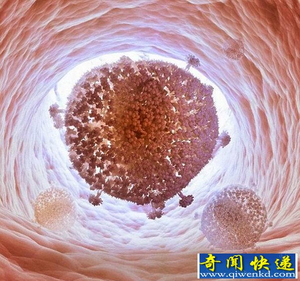 美科学家首次使用“Cas9”DNA从人体细胞里面"删除"艾滋病病毒