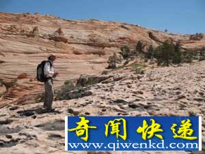 美发现千只恐龙聚集的"恐龙舞池"【图文】