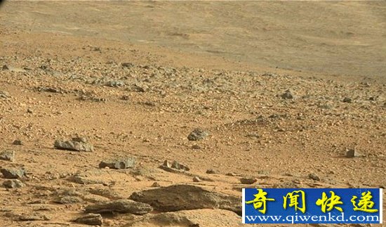 美宇航局的火星照片被疑有蜥蜴生命体【图文】