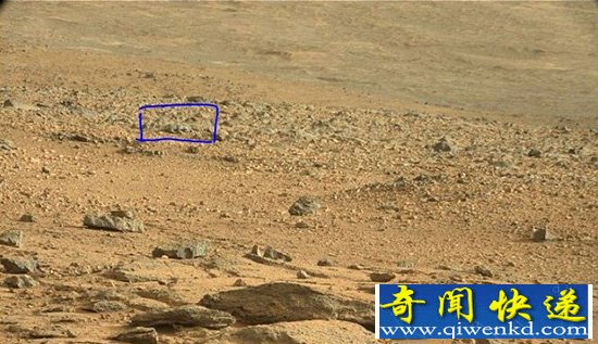 美宇航局的火星照片被疑有蜥蜴生命体【图文】