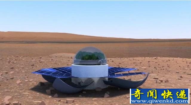美国计划2021年往火星种植物 为移民火星做准备