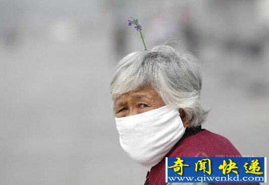 大妈头戴卖萌草引蝴蝶停留 造型逼真能招蜂引蝶