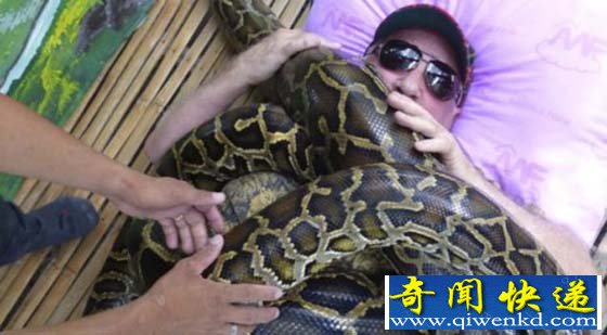 菲律宾男子用4条巨蟒缠身治旧疾