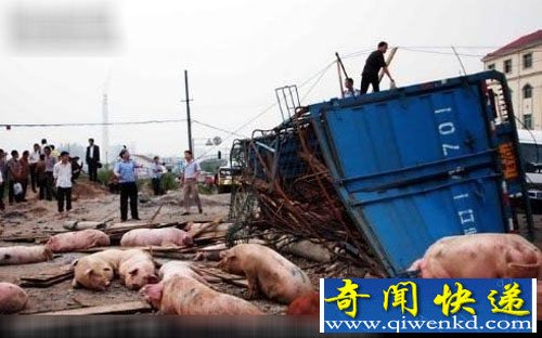 �����ֳ����ֶ����ʬ