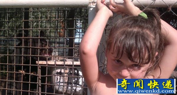 俄罗斯三岁女孩在熊笼前拍照 不幸被熊咬掉一只手