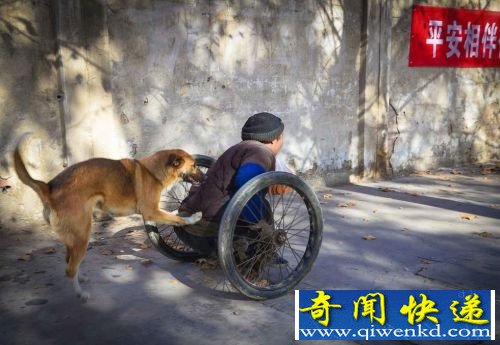 ���ϰ���Ȯÿ���Ʋм����˰�̯ ���������ů�ų�����