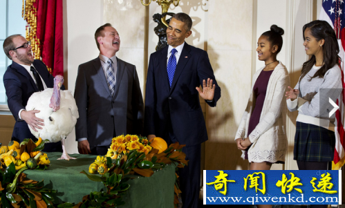 �°�������� �ж��ڳԻ𼦵�����