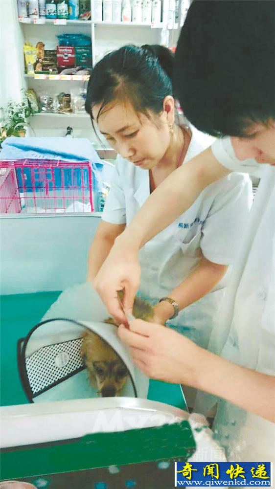 ����С���ڼұ��� ����5¥�������¹������鳵��