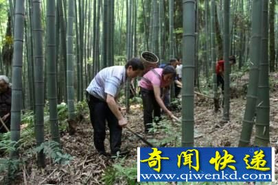 9�굤������Ѫ�� �����Է��ڲ�����Ǯ