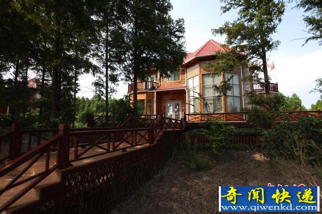 �Ϻ��ദ�Ƿ�ռ��Υ������ׯ԰���ع⡣