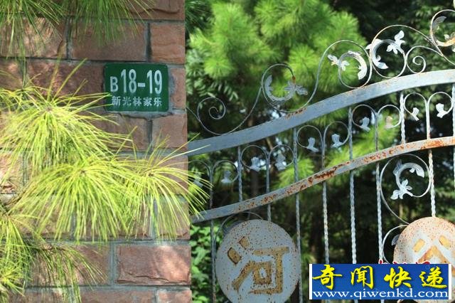 �Ϻ��ദ�Ƿ�ռ��Υ������ׯ԰���ع⡣