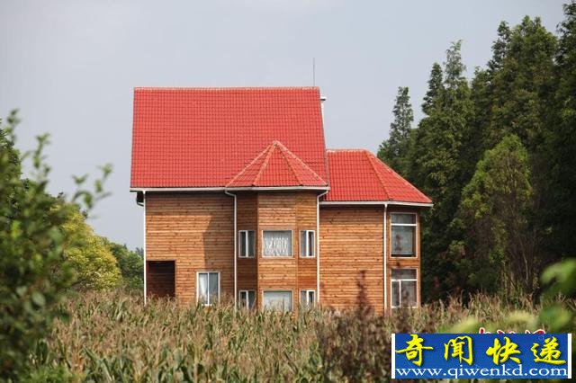 �Ϻ��ദ�Ƿ�ռ��Υ������ׯ԰���ع⡣