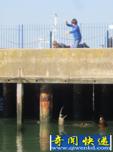 ��з����Ӣ�� ����PS