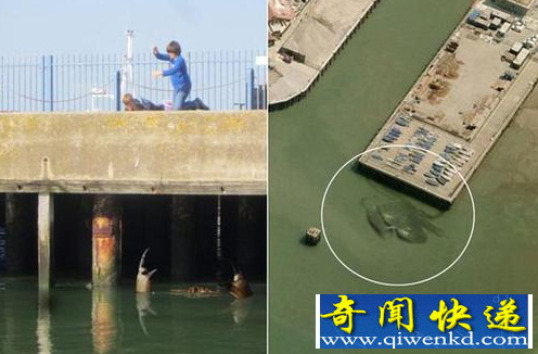 ��з����Ӣ�� ����PS