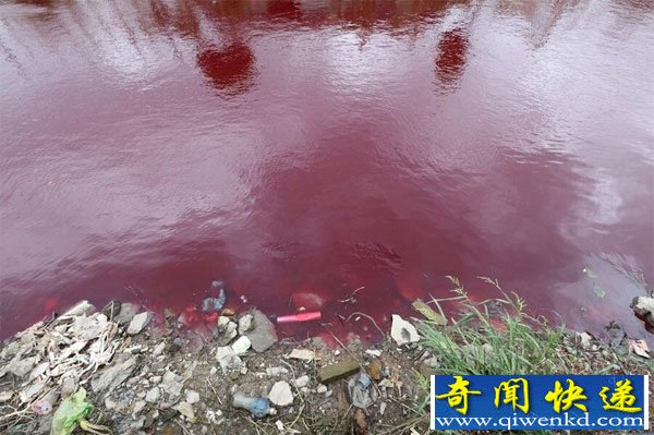 ����ũ��С�Ӳ�֪�ιʣ�һҹ֮��Ѫ���ɺӡ�