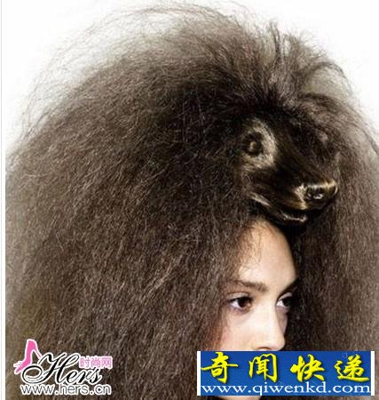 ���ͷ�������Ͱ���