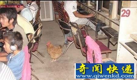 �̵����Ļƽ���⵳��