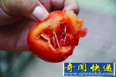 �������棬�������ﾹȻ�ܳ�������ѿ����