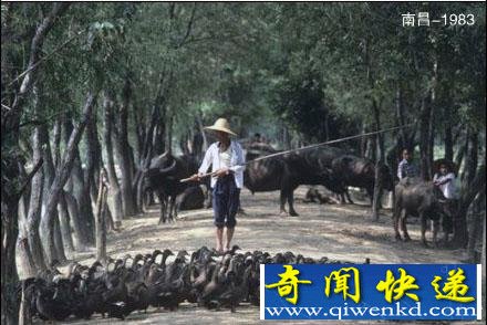 ��ͷ��1979-1985����Ї���һ��ʱ�������뿪���ǡ�