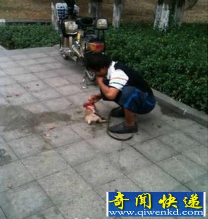 �f�ģ����Ӷ׽�ͷ���Թ���