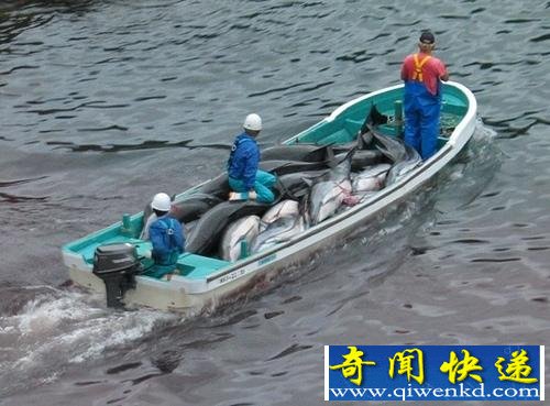 Ϧ��Ⱦ���˴�أ�����������Ⱦ���˴󺣣�