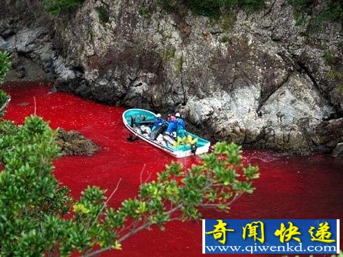 Ϧ��Ⱦ���˴�أ�����������Ⱦ���˴󺣣�