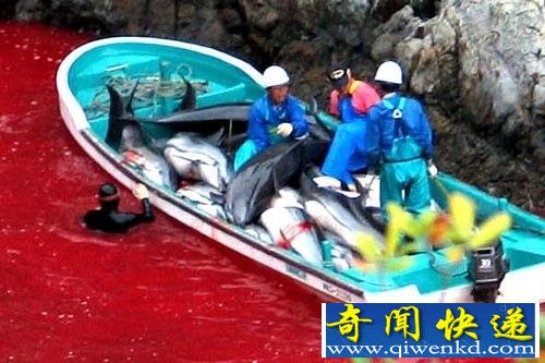 Ϧ��Ⱦ���˴�أ�����������Ⱦ���˴󺣣�