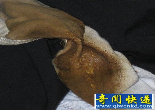 “米国内裤”是什么意思?超恶心最好别看!