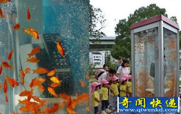 绰ͤˮ Ӿ