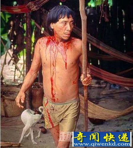 雅诺马马原始部落恐怖习俗:吃族人尸体