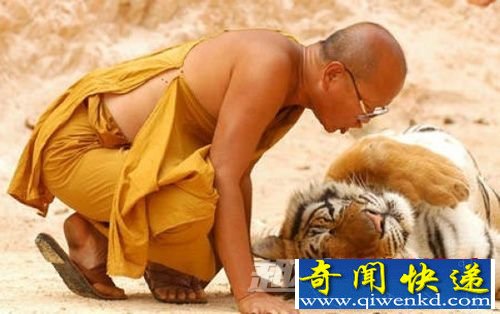 十大人兽同居事件——英男子和狼群同吃住