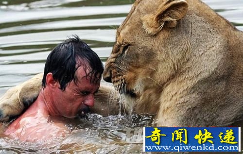 十大人兽同居事件——英男子和狼群同吃住