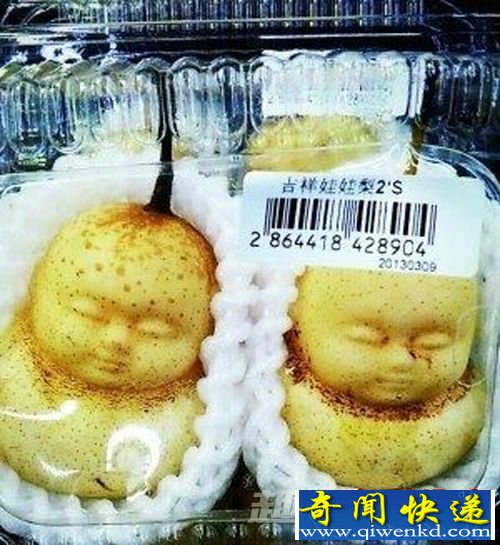 盘点全球奇葩水果 日本方形西瓜受俄罗斯富人的追捧