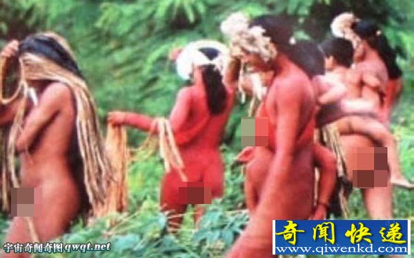 巴西某原始部落赤身女人竟用母乳给野猪吸奶(组图)