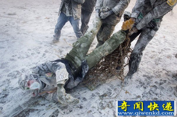 西班牙小镇传统粉面节:人们鸡蛋面粉大战(组图)