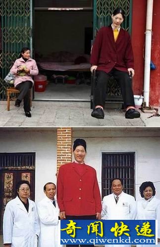 全球十大女巨人中国姚德芬身高236厘米位居排行榜之首