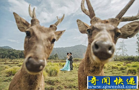 婚纱照图片大全 婚纱照也可以这么玩