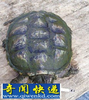 ˼飡̹ÿʮ֧