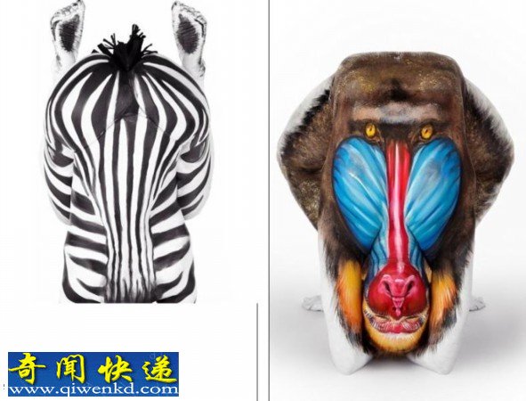 人体彩绘秀图片 将人体模特彩绘变为野兽