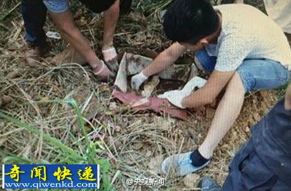 兔唇男婴被弃荒野10天10夜生还 5人被刑拘