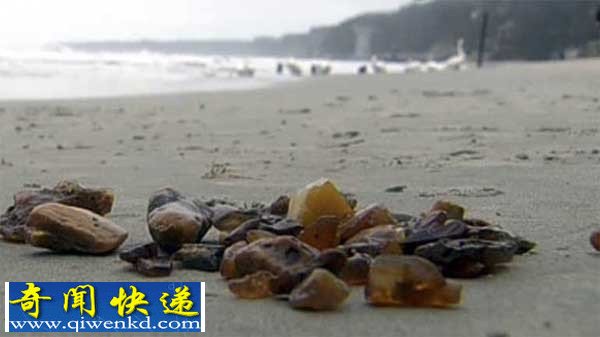 “琥珀之都”俄罗斯海滩琥珀被海浪吹上岸 民众掀"淘宝潮"