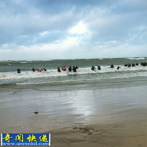 “琥珀之都”俄罗斯海滩琥珀被海浪吹上岸 民众掀"淘宝潮"