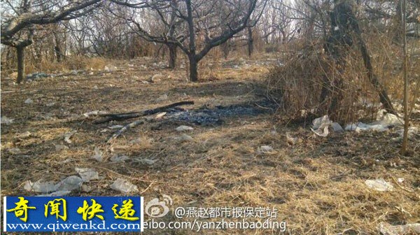 保定市11岁少女回家路被烧杀 全身赤裸疑遭性侵
