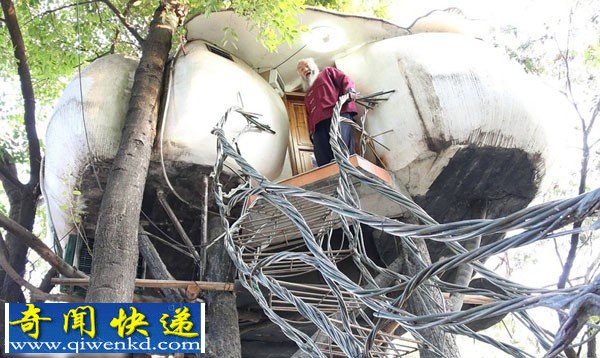 广东顺德白须6旬根雕大师隐居树上 3年租金达10万