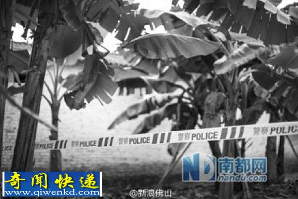 蕉林女子深夜呼救 警方赶到已亡 现场遗留血迹纸巾避孕套