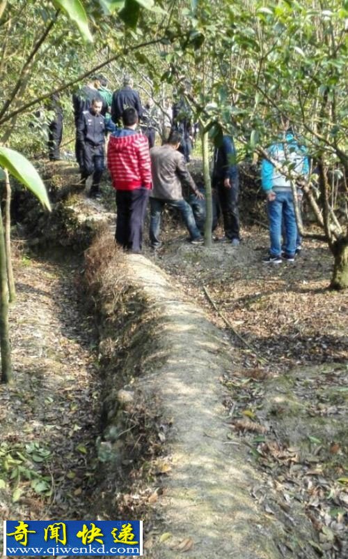 浙江金华:伴娘闹市失踪在郊外遇害 嫌疑人指认犯罪现场
