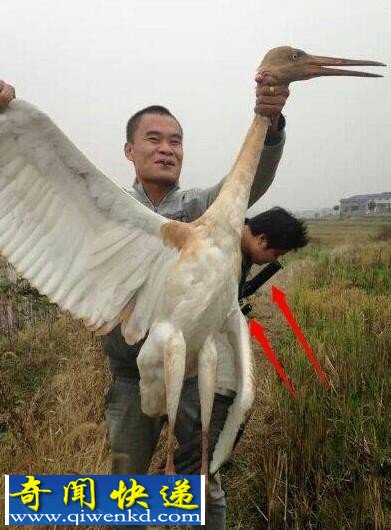 男子网上炫耀猎杀国家一级保护动物 网友呼吁严惩